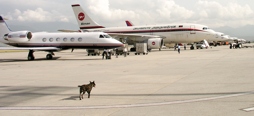 Kathmandu Ramp and a Dog